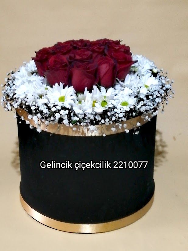 sevgi d�nyas�